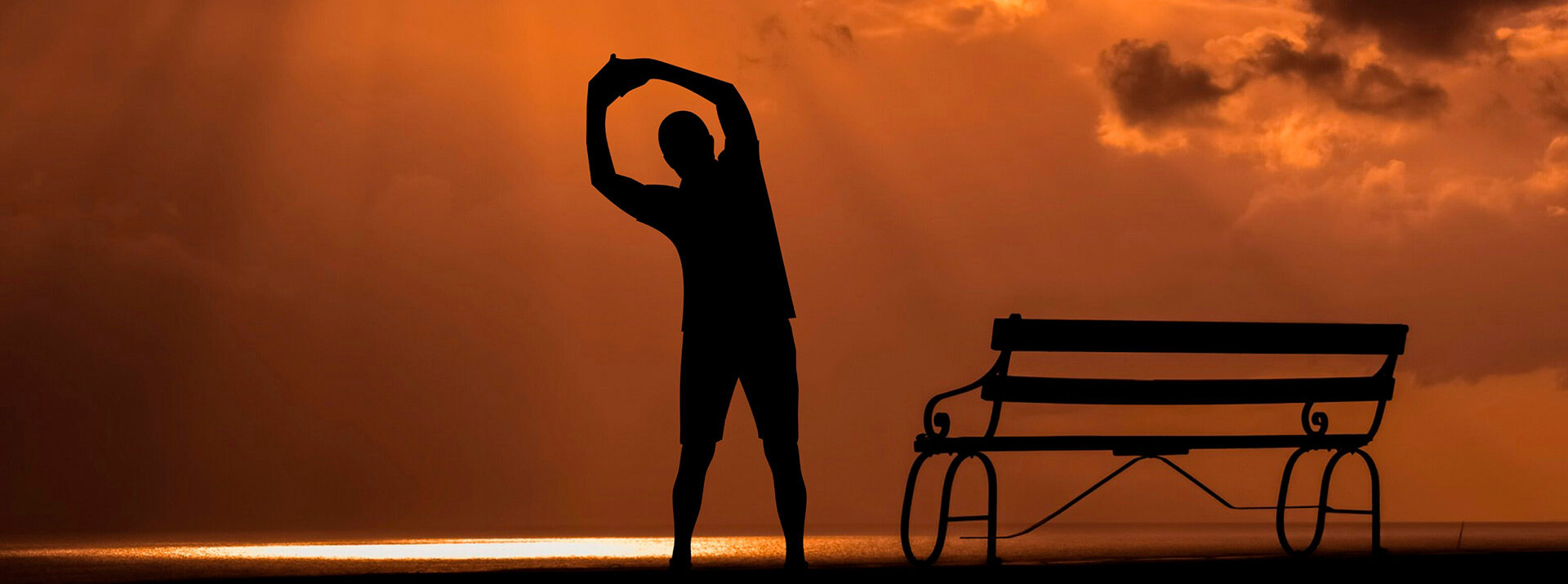 Wellness services 
to get you results